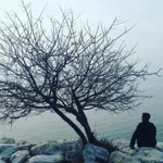 Yarkın