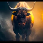 Turgay