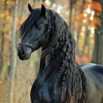 Ceren