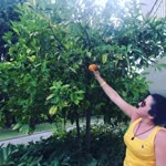 Ebru