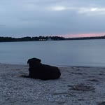 Deniz