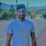 Arı