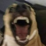 Ens