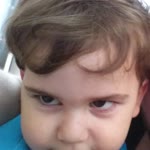 Erdal