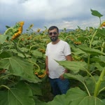 İsmail