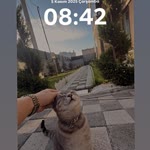 Şerife