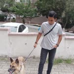 Onur