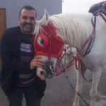 Özer