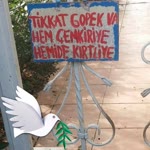 Oguzemir