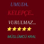 Yusufarif