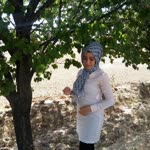 Nur