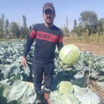 Yusuf