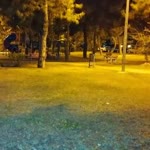 Alperen