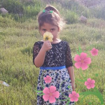 Ceren
