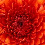 Esma