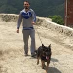 Doğuş