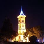 Tarık