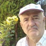 Rifat