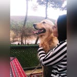 Kader
