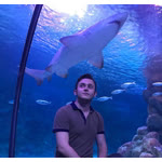 Gökhan