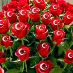 Tayfun