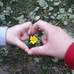 Emel