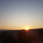 Gülcihan