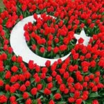 Tuğçe
