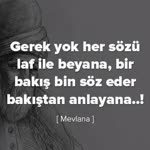 Masum