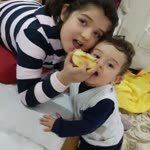 Vehbi