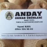 Anday