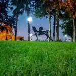 Umt