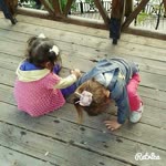 Öykü