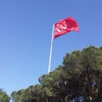 Yücel