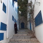 Ayşe
