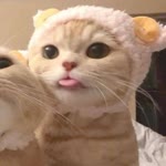 Latife