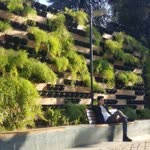Seyid