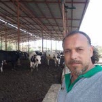 Özer
