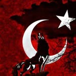 Taşkın