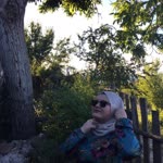 Ayşenur