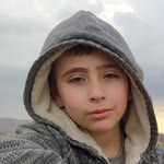 Bedir