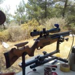 Tolga