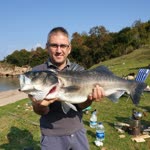 Berkant