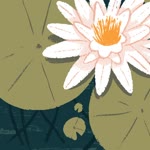 Asude