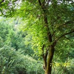 Abdulsamet
