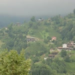 Özel