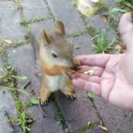 Tugay