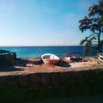 Havva