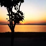 Zeynep