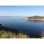 Güler